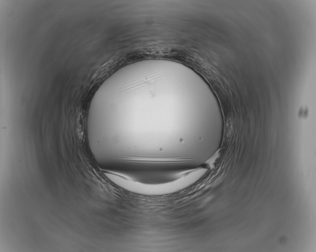 X0000096981202200802291137