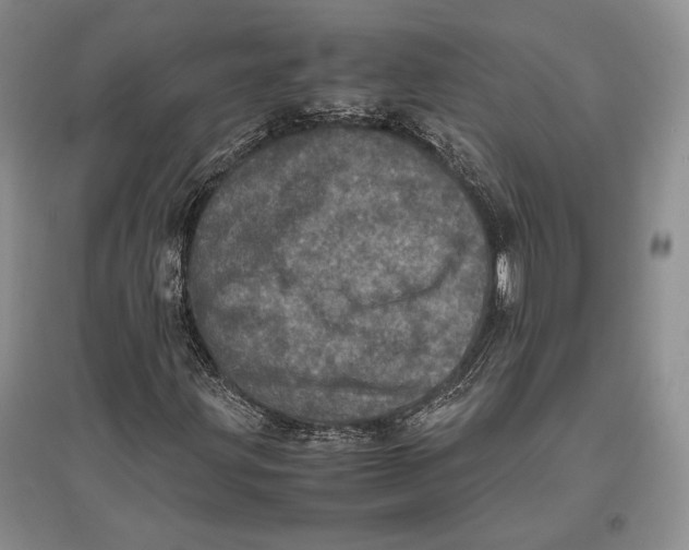 X0000096981203200802291137