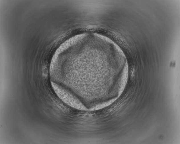 X0000096981204200802291137