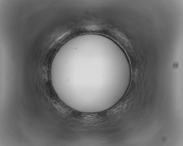 X0000096981205200802291137