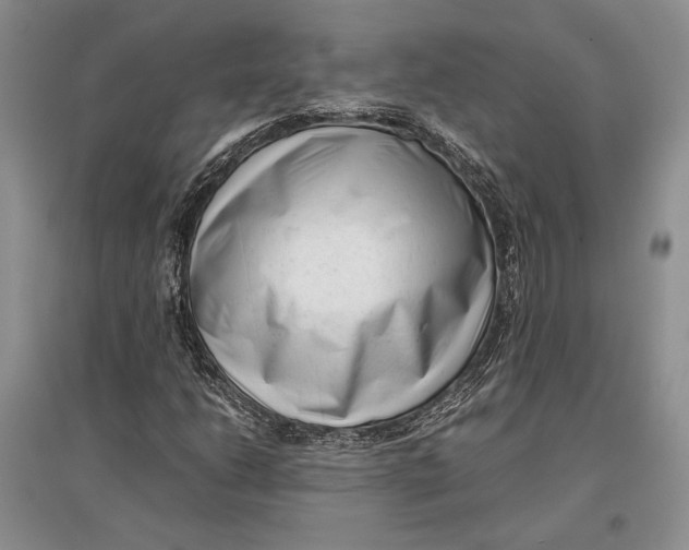 X0000096981206200802291137