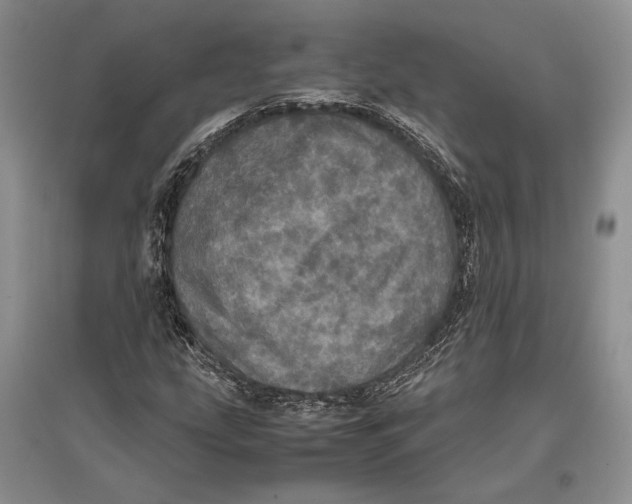 X0000096981207200802291137