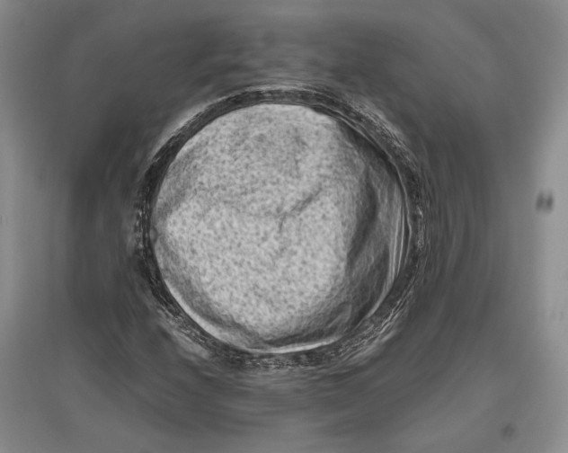 X0000096981208200802291137