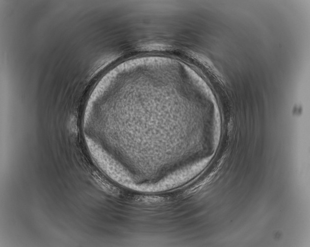 X0000096981209200802291137