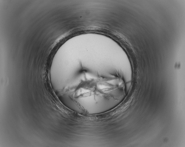 X0000096981210200802291137