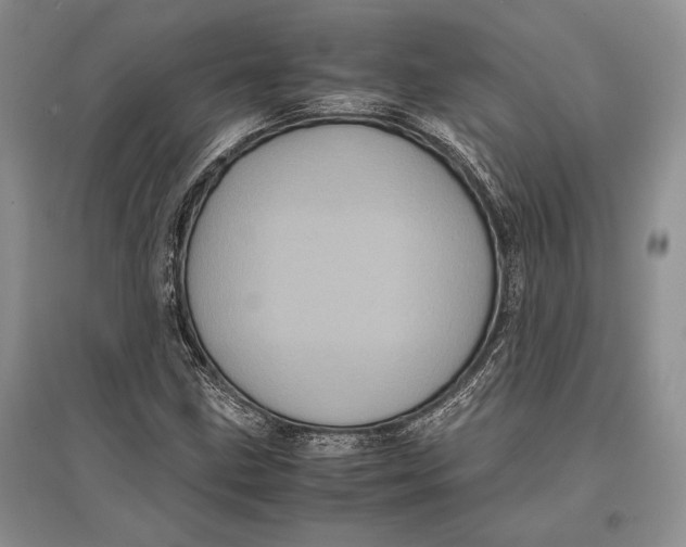 X0000096981211200802291137