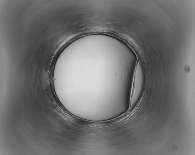 X0000096981212200802291137