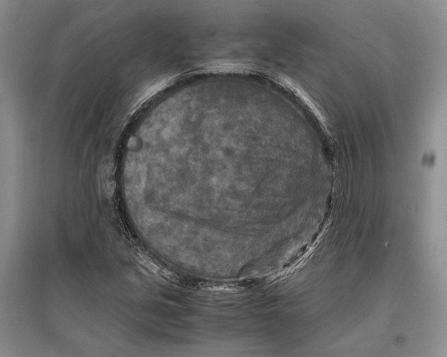 X0000096981213200802291137