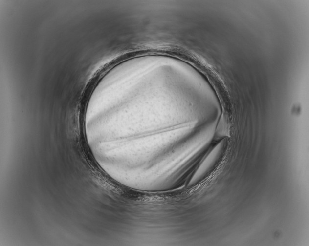 X0000096981214200802291137