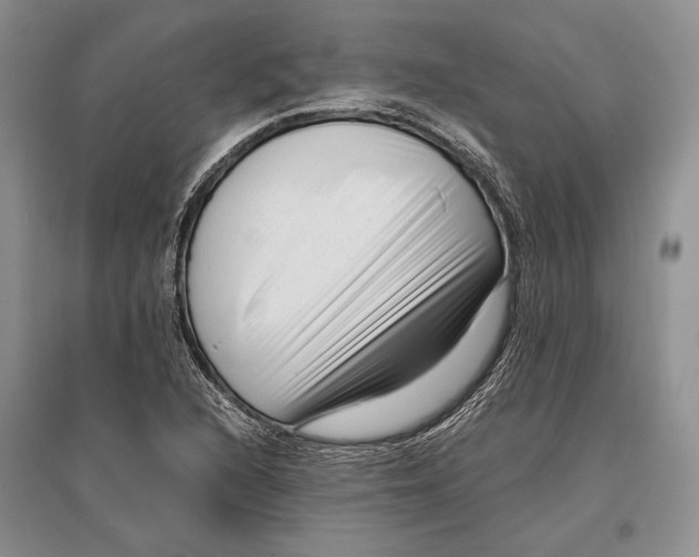 X0000096981216200802291137