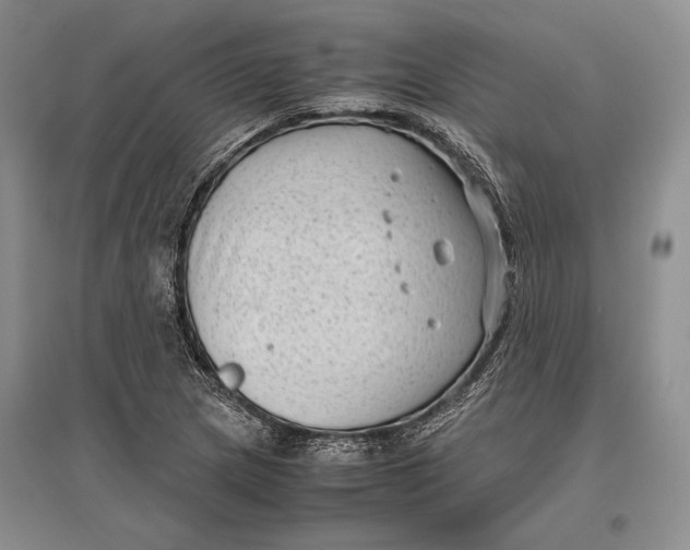 X0000096981217200802291137