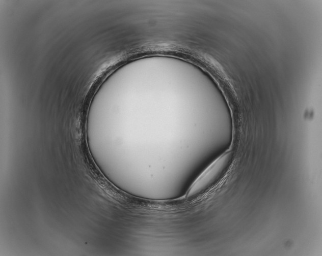 X0000096981218200802291138