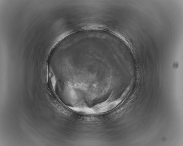 X0000096981219200802291138