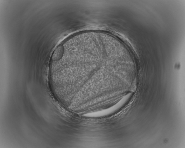 X0000096981220200802291138