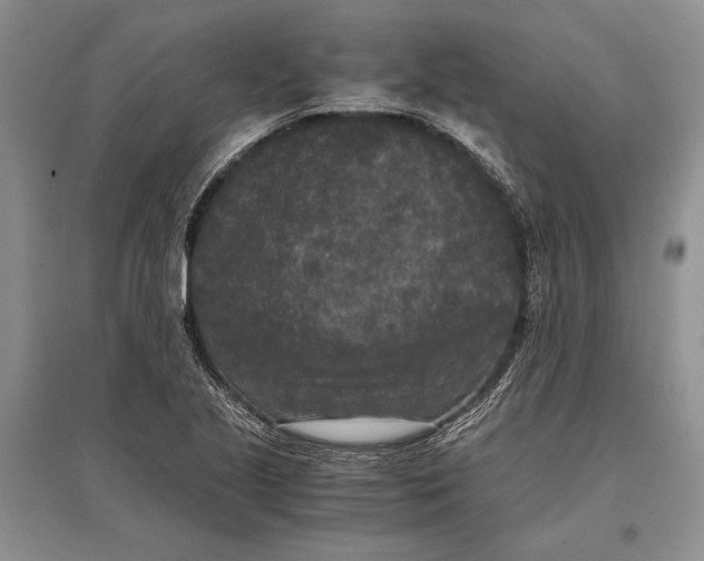 X0000096981221200802291138