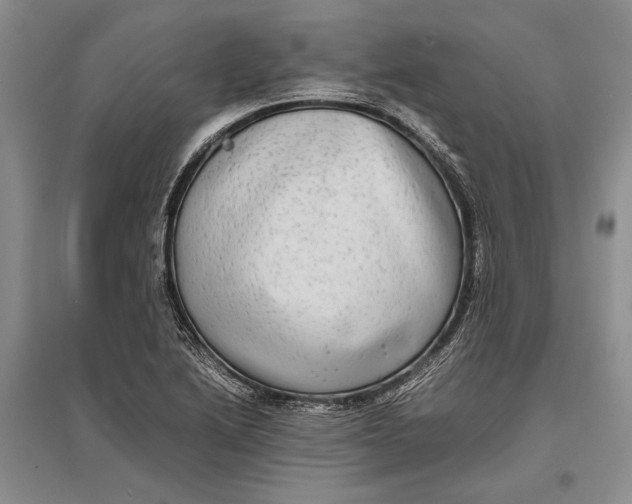 X0000096981222200802291138