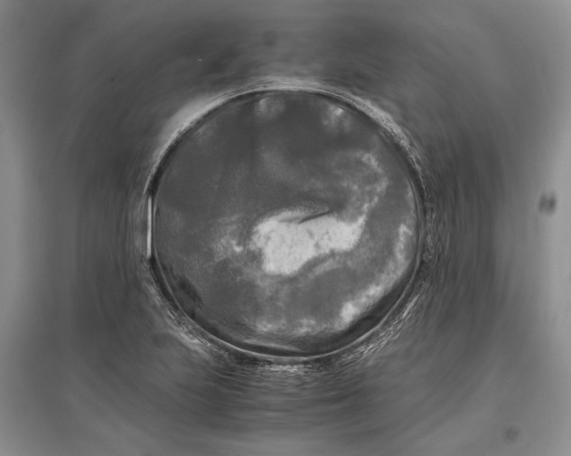 X0000096981223200802291138