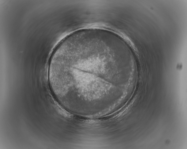 X0000096981224200802291138