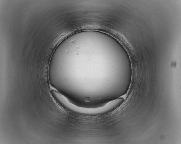 X0000096981225200802291138