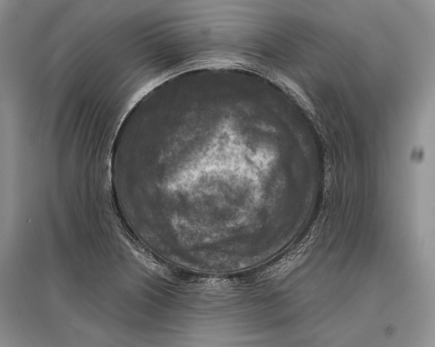 X0000096981226200802291138