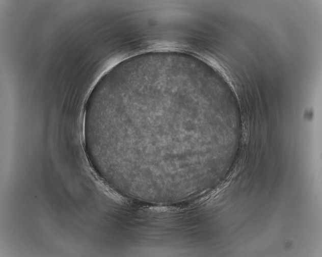 X0000096981227200802291138