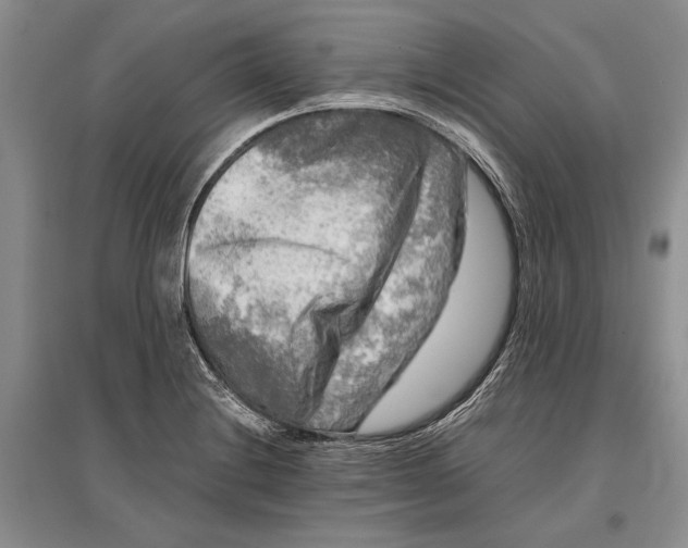 X0000096981228200802291138