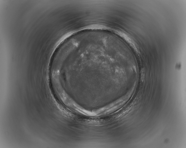 X0000096981229200802291138