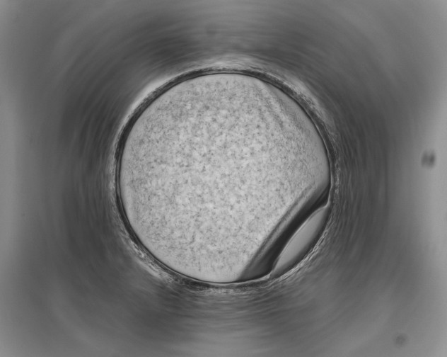 X0000096981232200802291138