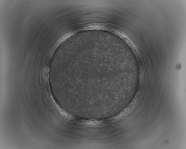 X0000096981233200802291138