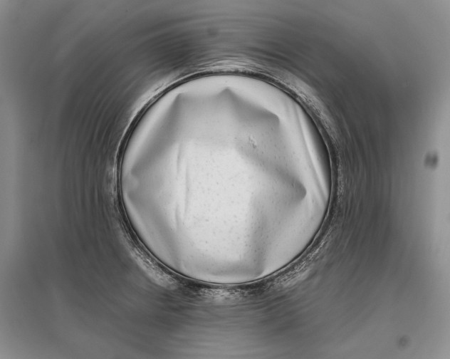 X0000096981234200802291138