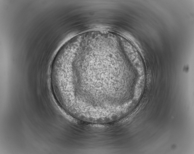 X0000096981235200802291138