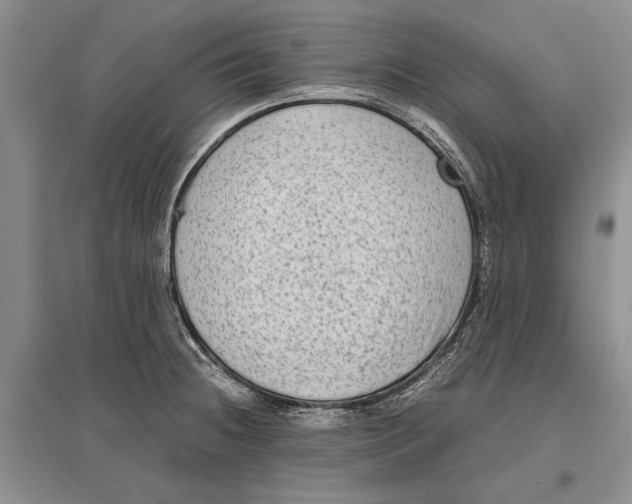 X0000096981236200802291138