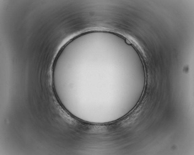 X0000096981238200802291138