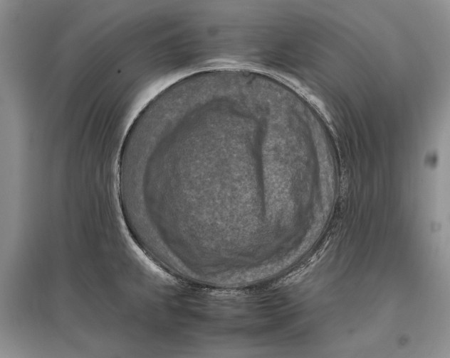 X0000096981239200802291138