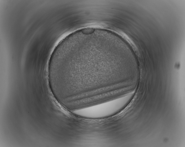 X0000096981240200802291138