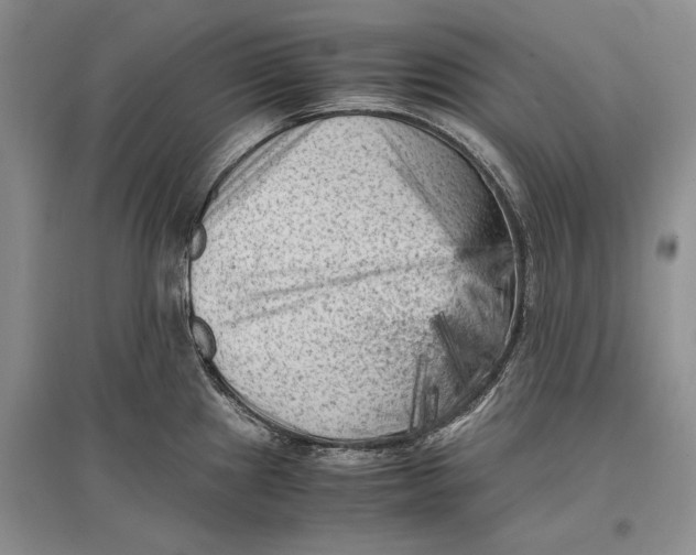 X0000096981241200802291138