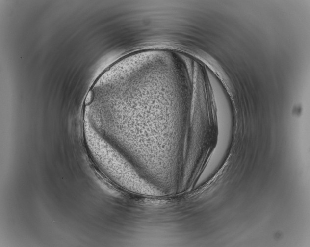 X0000096981242200802291138