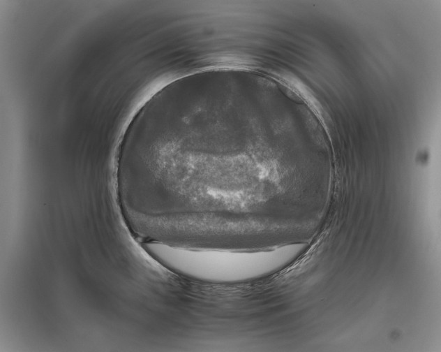 X0000096981243200802291138