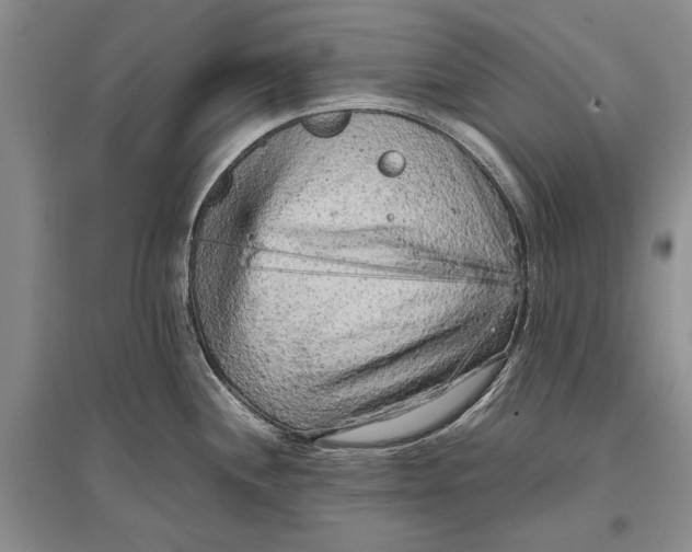 X0000096981244200802291138