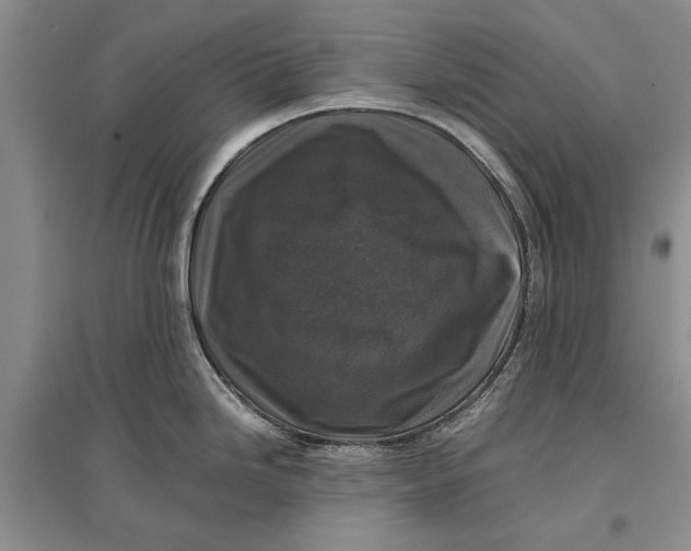 X0000096981246200802291138