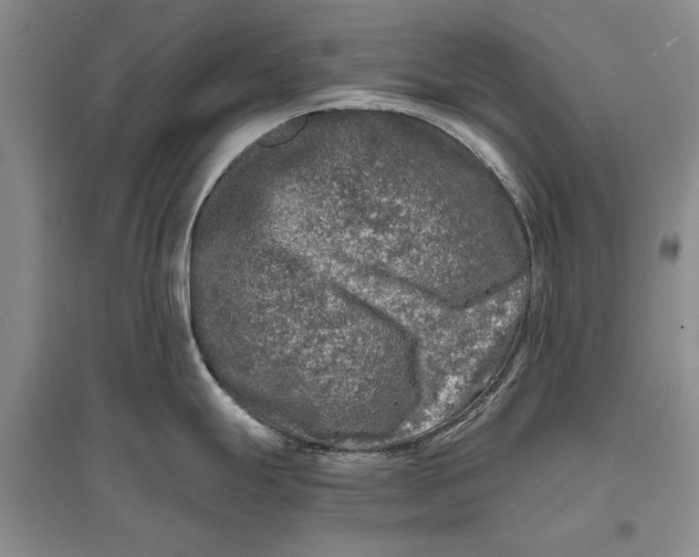 X0000096981247200802291138