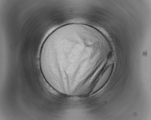 X0000096981248200802291138