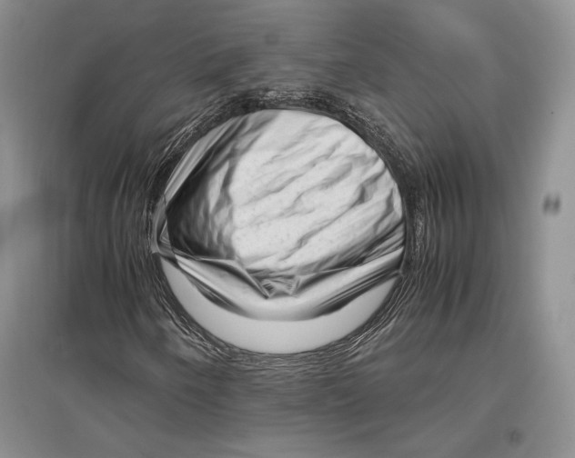 X0000096981250200802291137