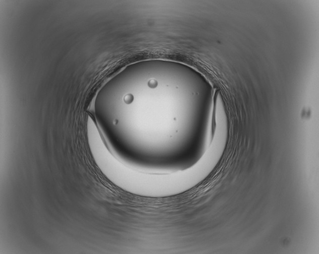 X0000096981251200802291137