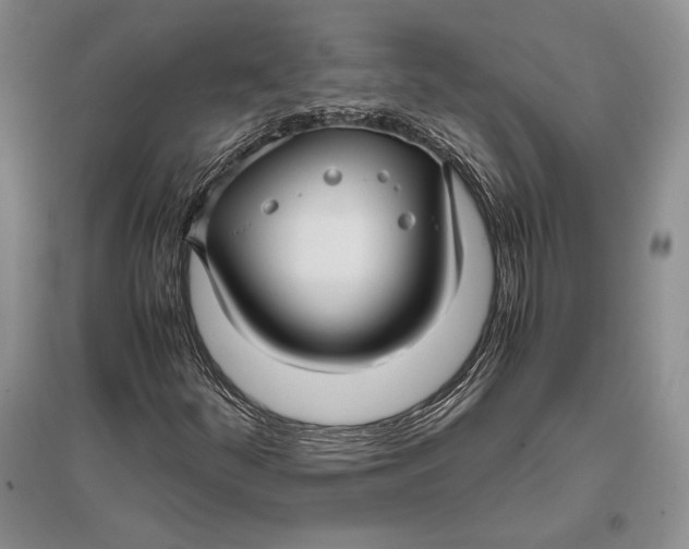 X0000096981252200802291137