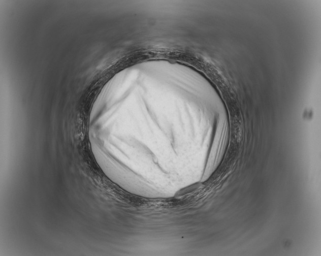 X0000096981253200802291137