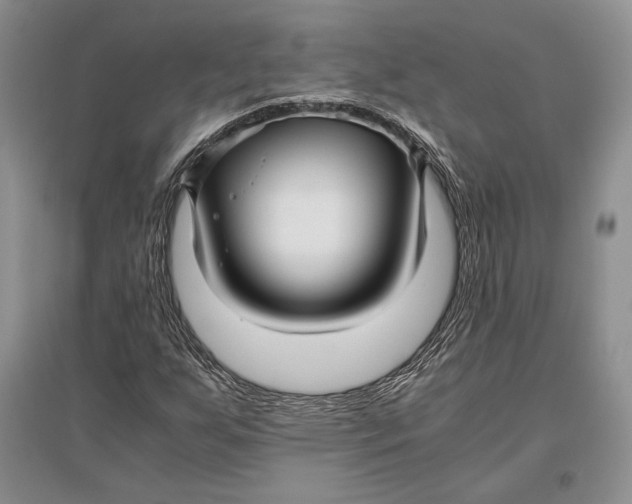 X0000096981255200802291137