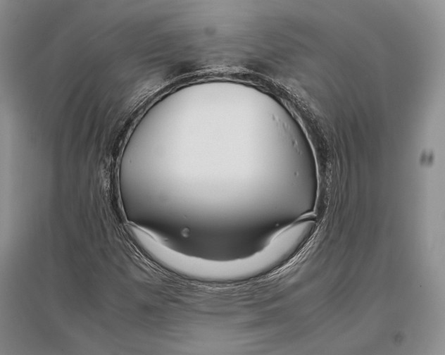 X0000096981257200802291137