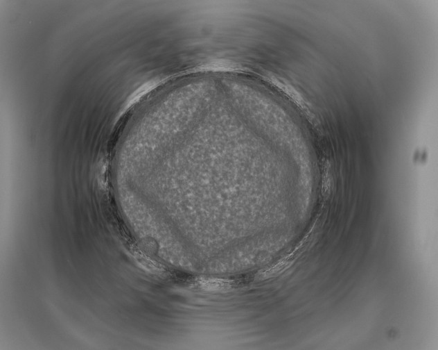 X0000096981258200802291137