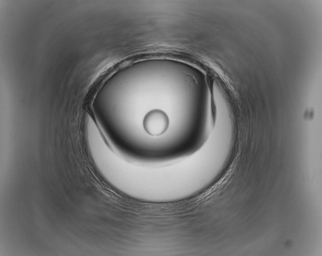 X0000096981259200802291137